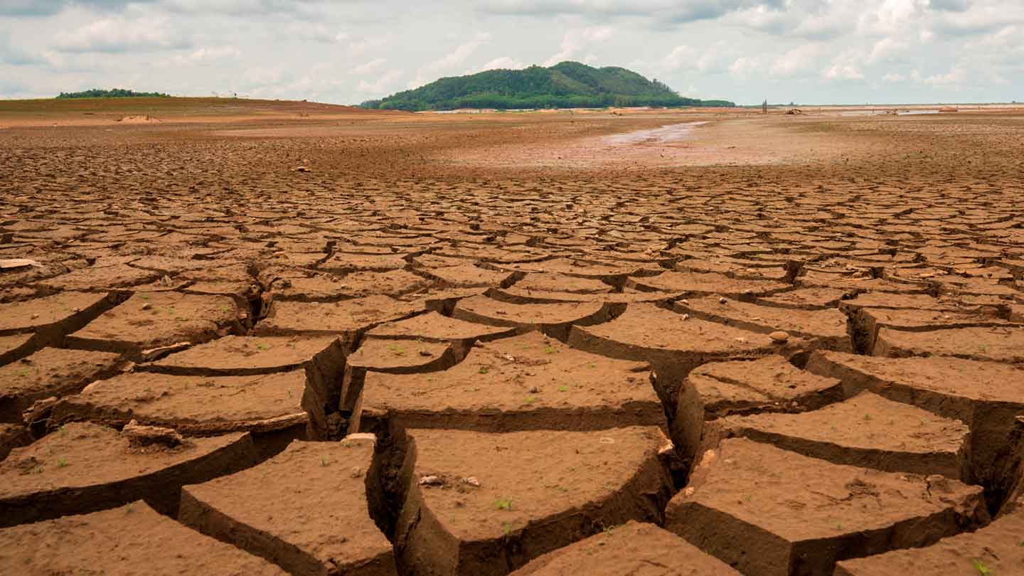 World Climate Emergency drought