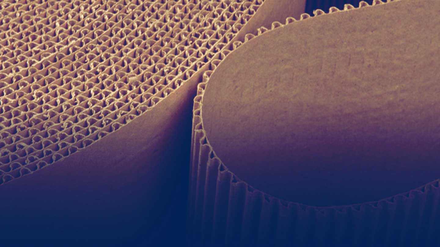 Corrugated paper