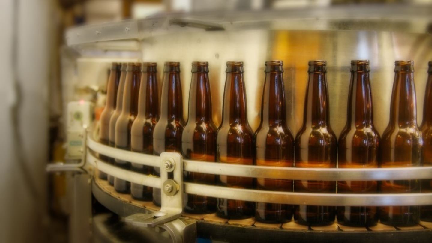 Bottles of beer on production line