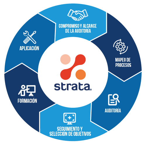 Strata section wheel graphic Latam
