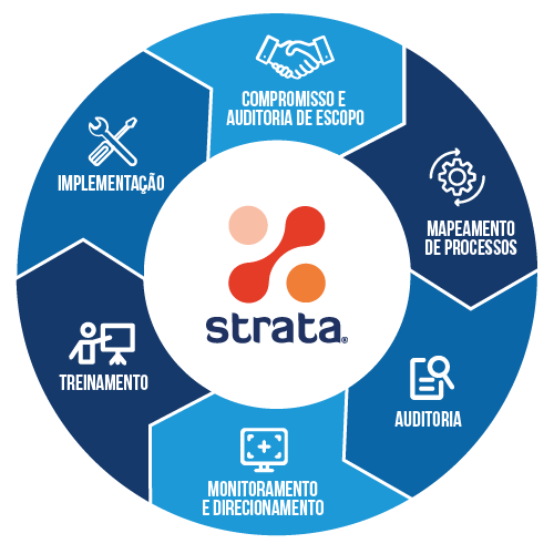 Strata section wheel graphic Brazil