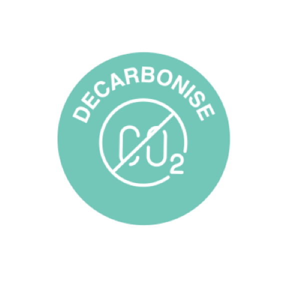 Decarbonise customer sustainability icon