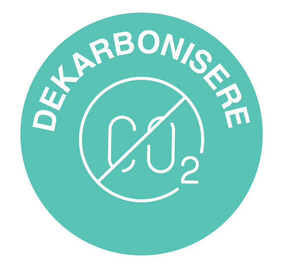 Decarbonise icon NO