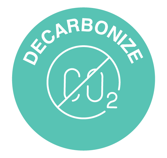 Decarbonise icon US