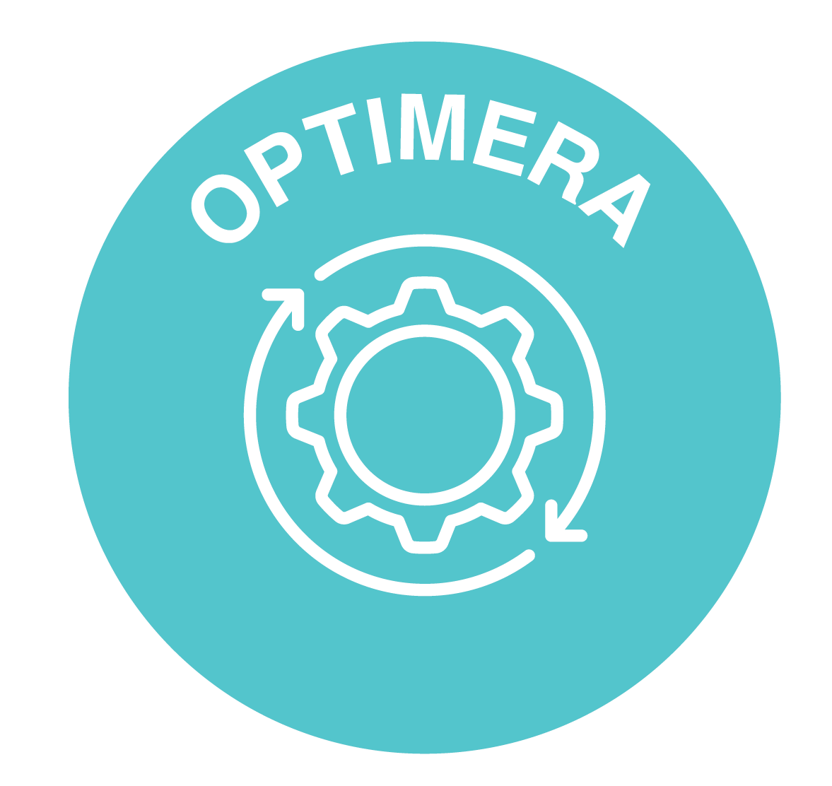 CSJ optimise icon SV