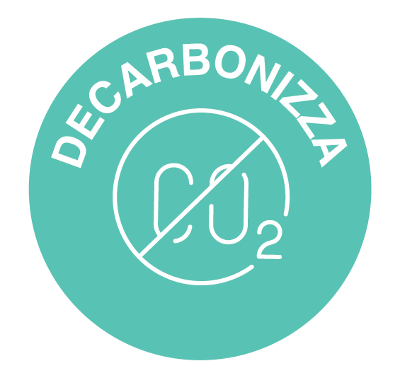 Decarbonise icon IT
