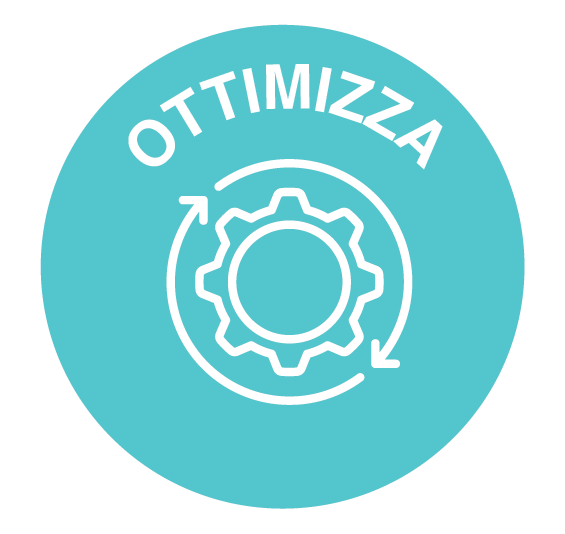 Optimise icon IT