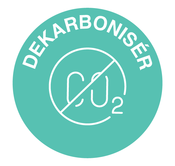 CSJ Decarbonise icon DA