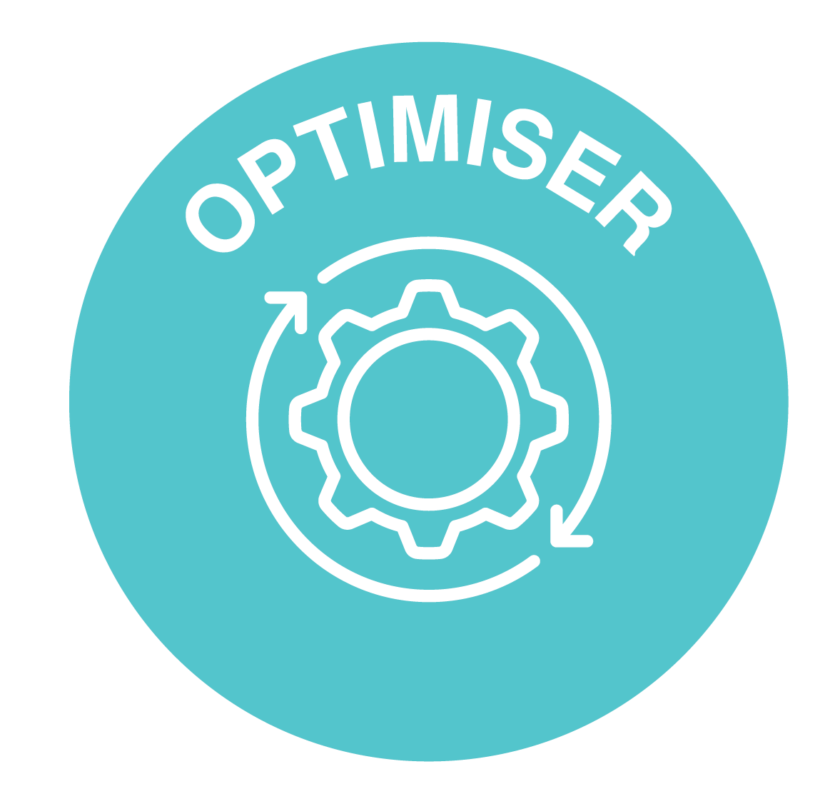 CSJ Optimise icon FR
