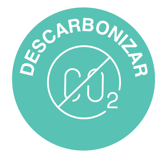 Decarbonise icon PT