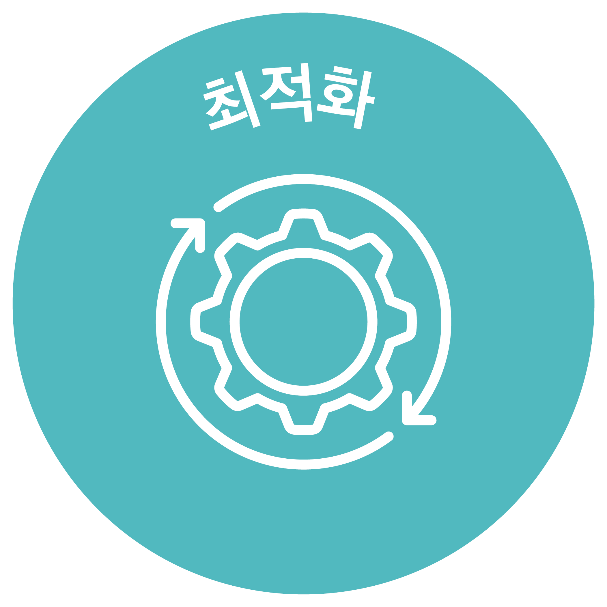 CSJ Optimise icon KO