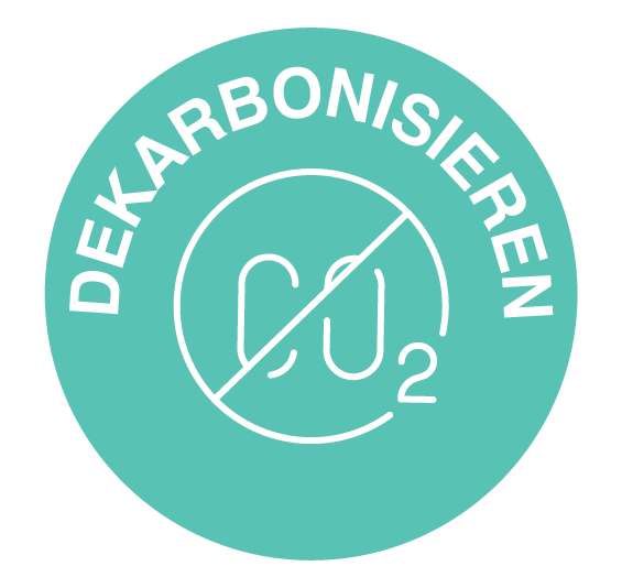 CSJ Decarbonise icon DE