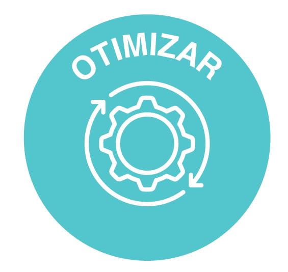 Optimise icon PtBr