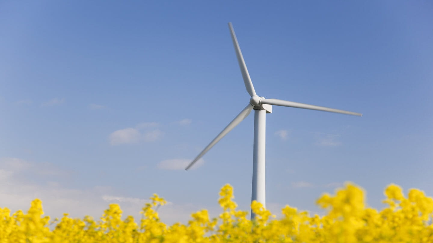 Sustainability wind turbine in yellow field