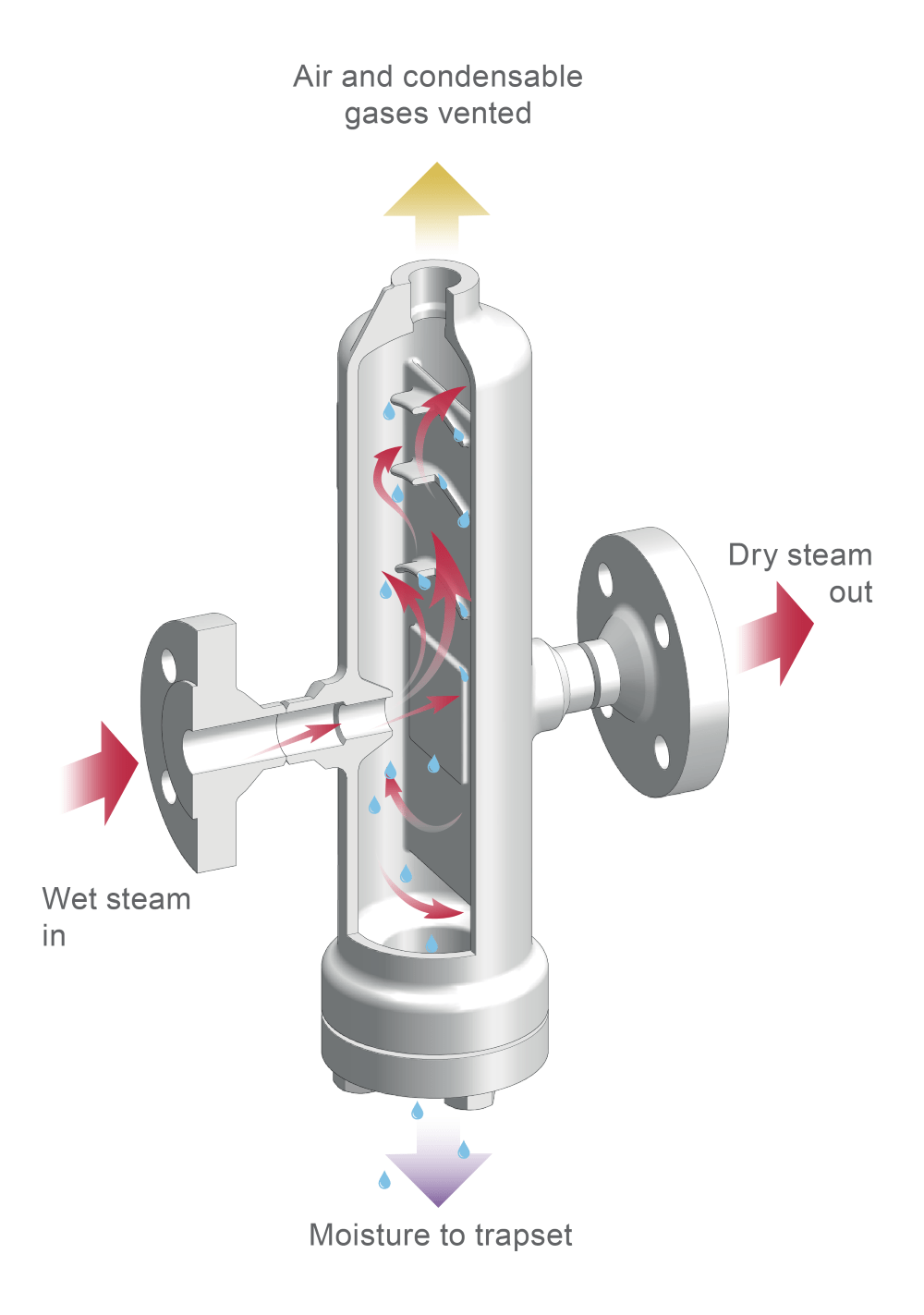 Steam separator