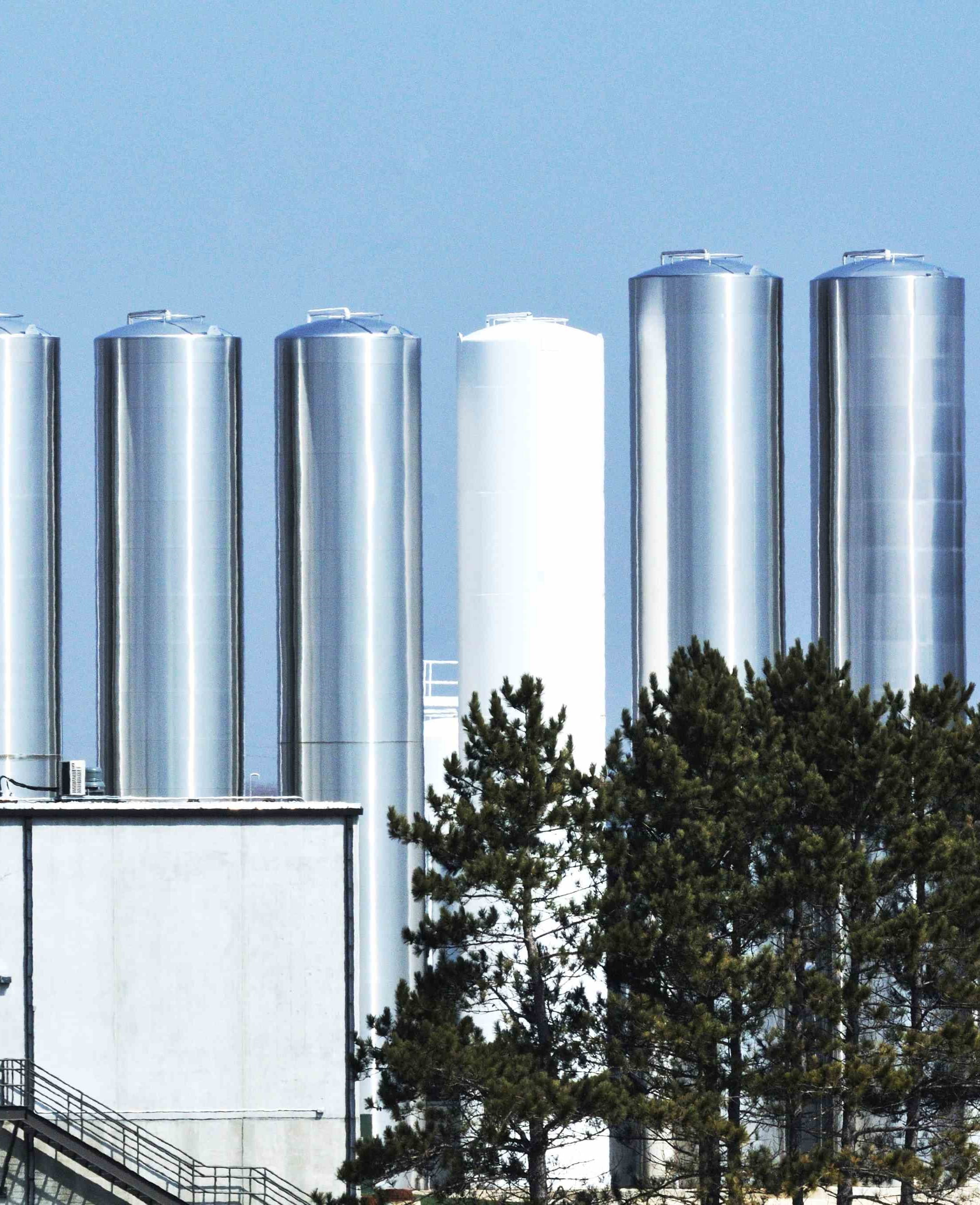 Food and beverage dairy industry image