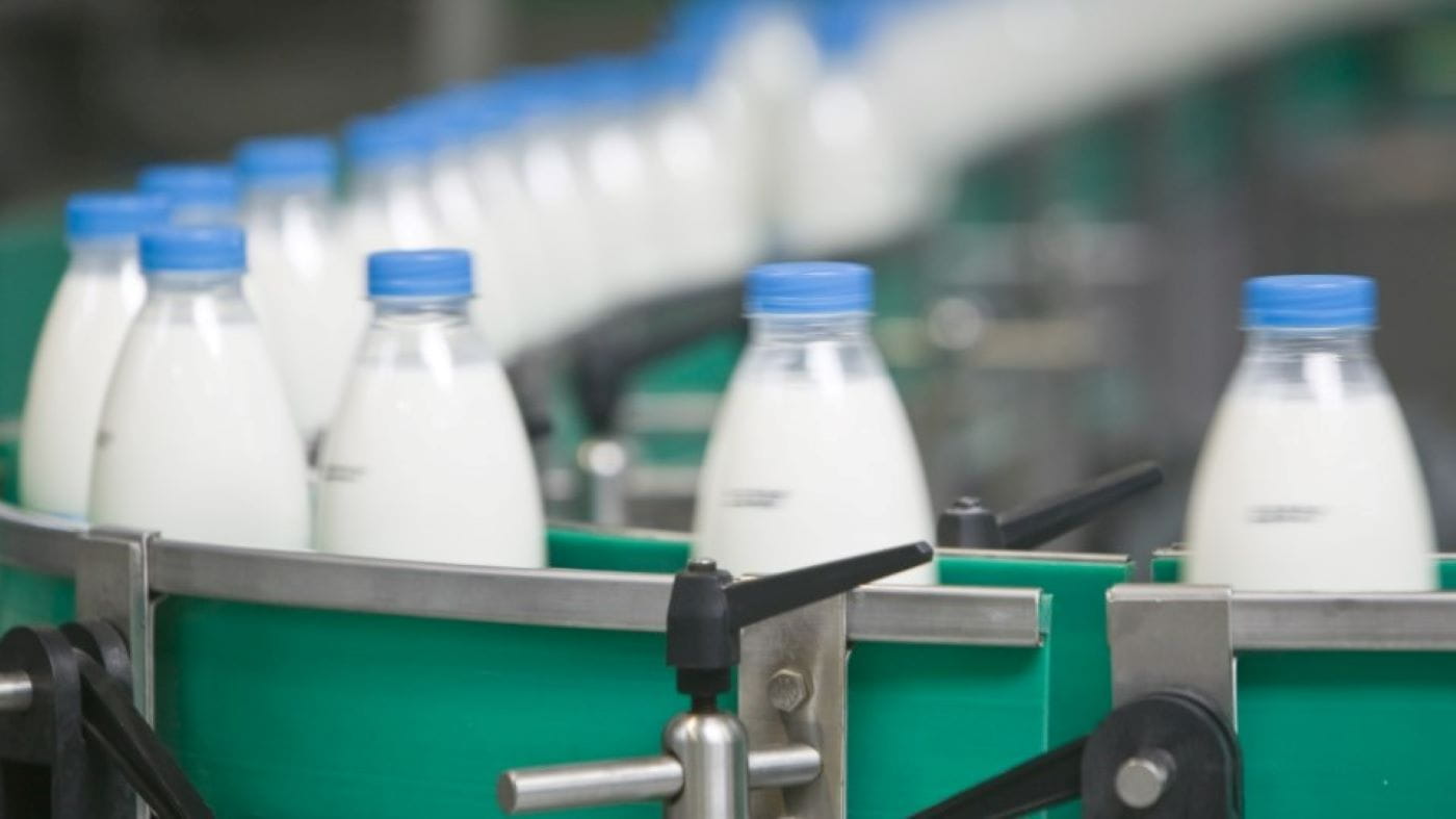 Milk bottles on production line