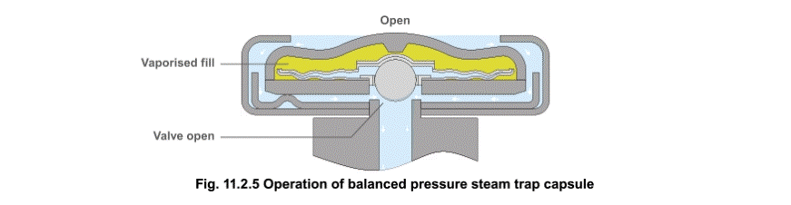 Thermostatic Balanced Pressure Trap Animation Product Adjustment