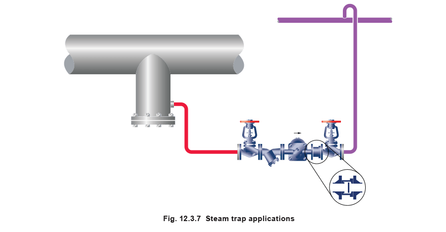 12.3.7 steam trap applicaions