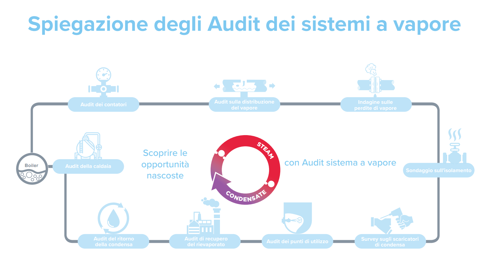 Steam system audit interactive screen shot