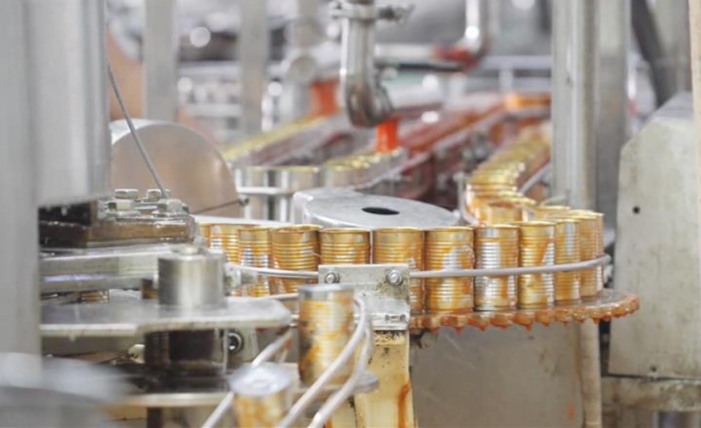 Sustainable food and beverage systems 11