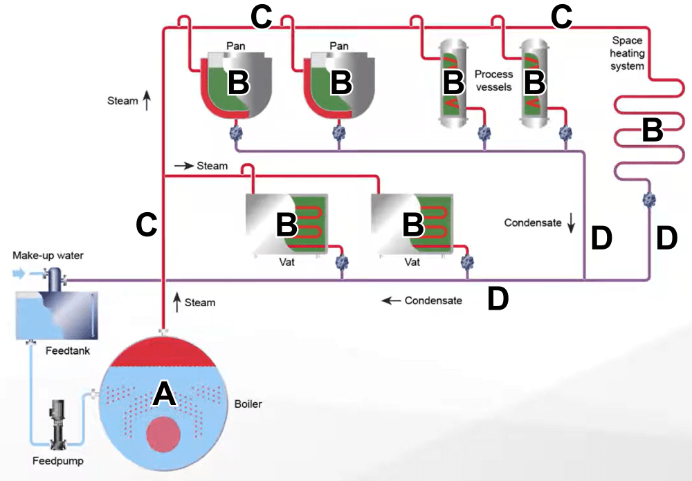 Steam distribution pipes