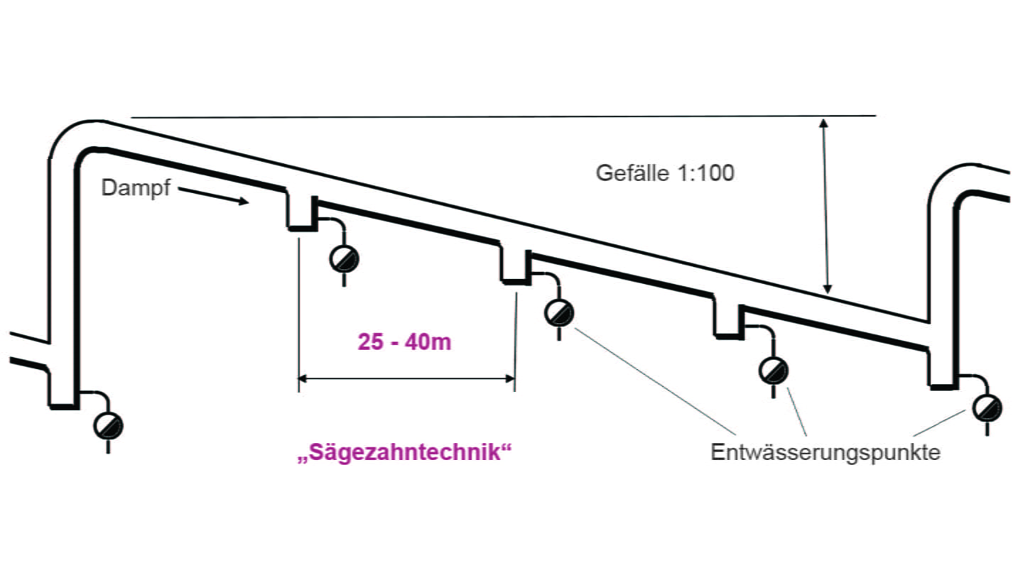 Korrekte Verlegung von Dampfleitungen