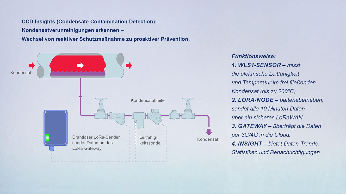 Kondensatverunreinigungen erkennen
