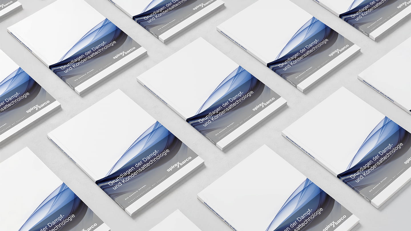 Fachbuch Grundlagen der Dampf- und Kondensattechnologie