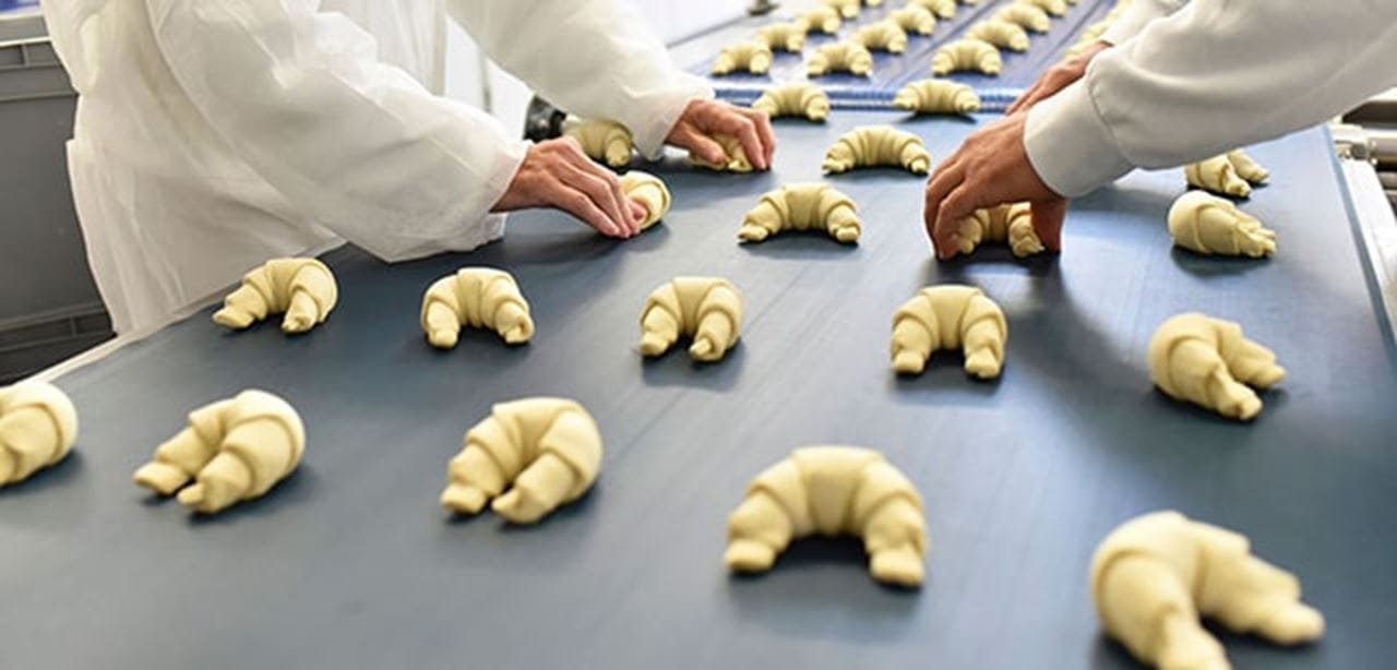 clean steam - rendamp