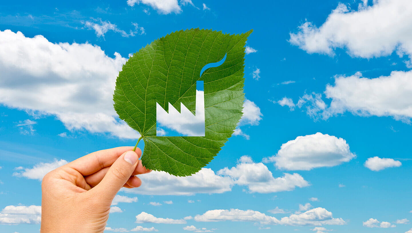 Sustainability