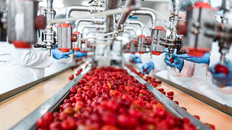Cherries - Egypt Case Study