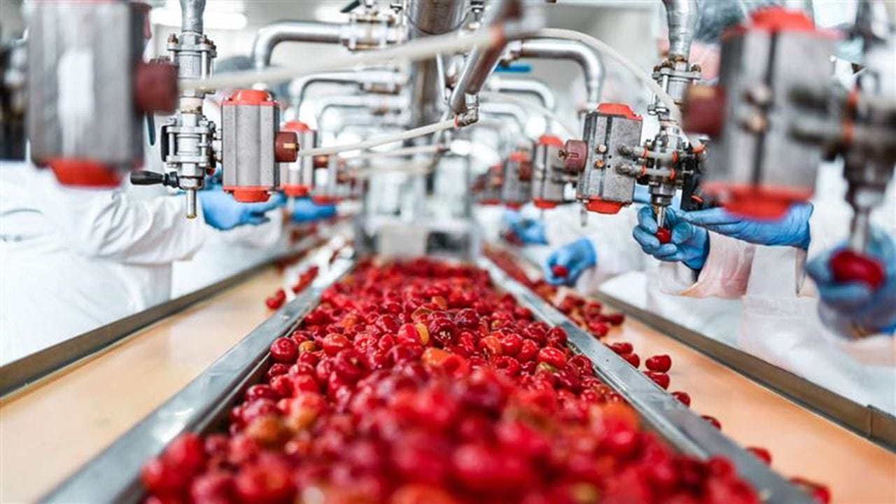Cherries - Egypt Case Study