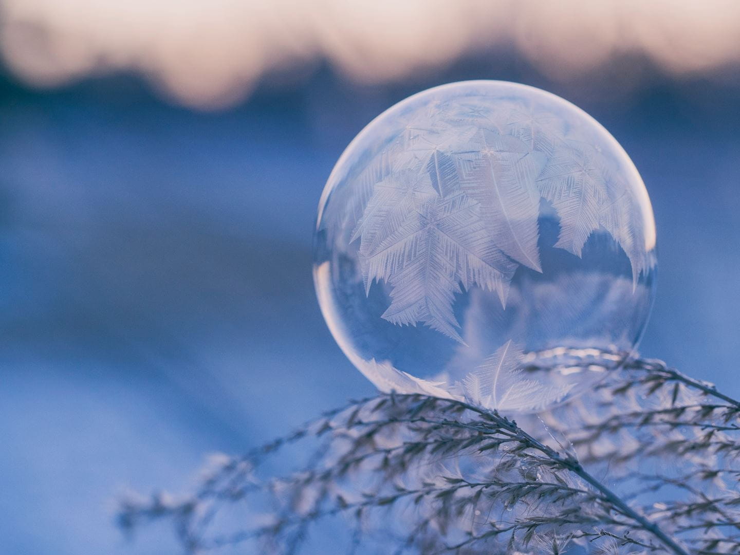 Ice 