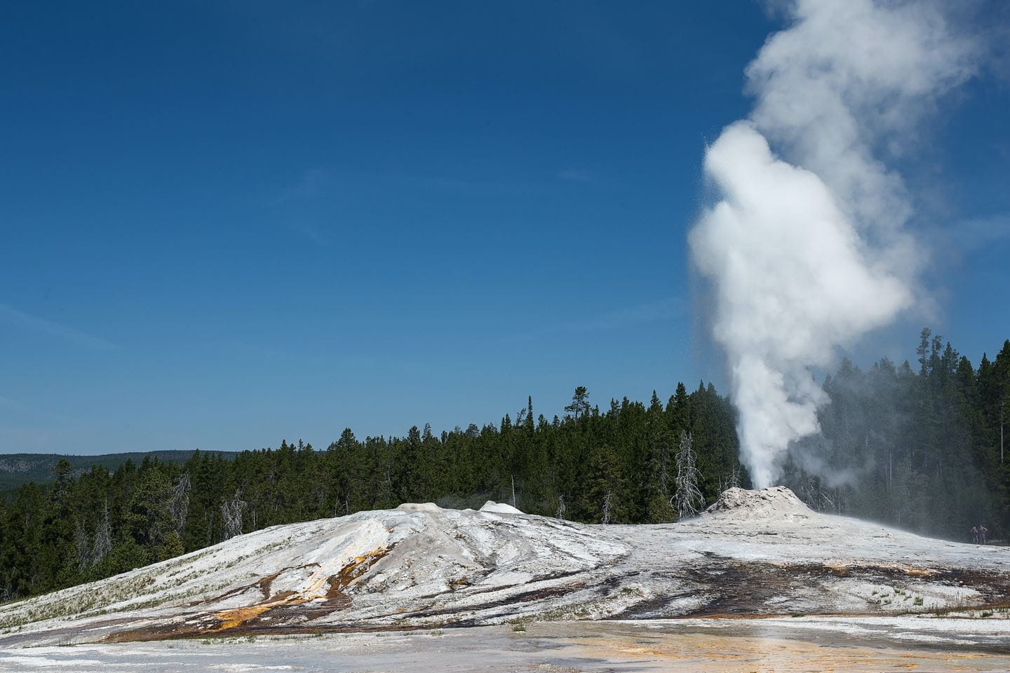 Geyser eruption in nature