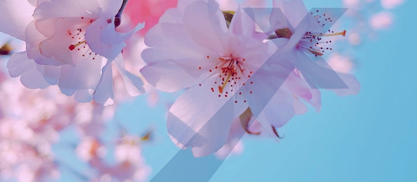 Your Spring Steam System Checklist | Spirax Sarco UK