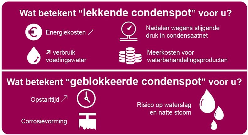 Infographic audit condenspot