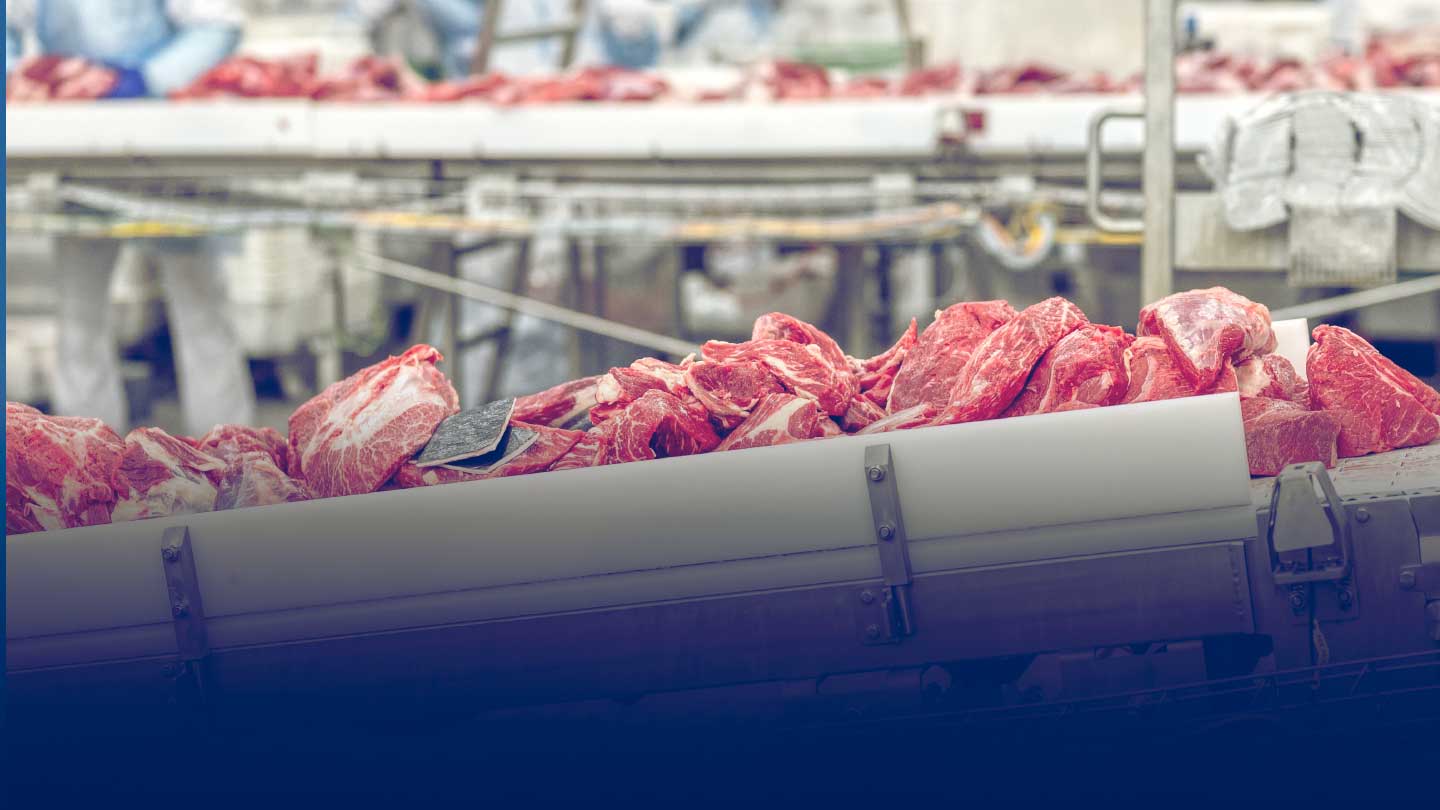 Meat in factory