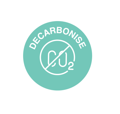 Decarbonise icon