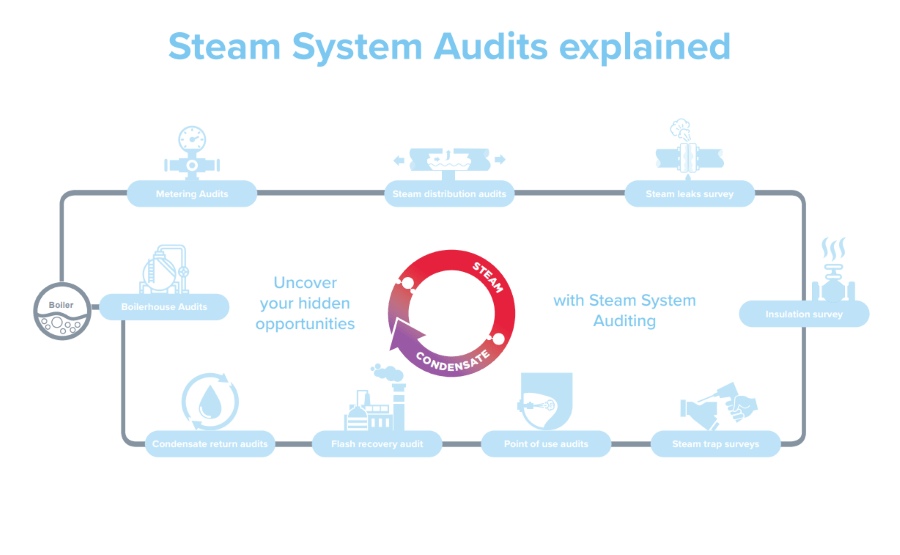 Interactive still steam system audits explained